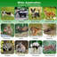 26x12x13in 1 Door Live Animal Trap-189226636