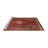 Oriental Indoor Rug-1557606584