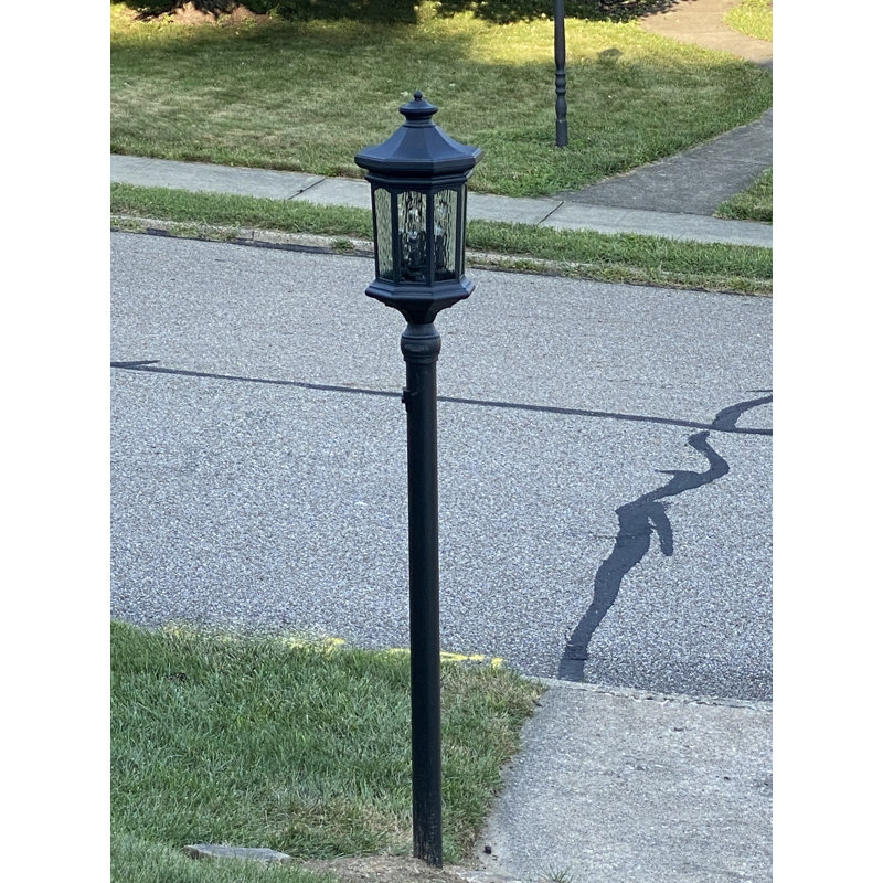Raley 1 -Light 26.25" H Hardwired Lantern Head, Black