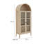 Nolan Tall Arched Storage Display Cabinet In Walnut Hickory-105239778