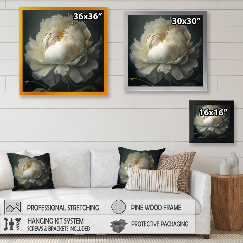 Pivoine blanche sur fond noir I - pivoine, H 36 po x l 36 po, Impression encadrée, Noir
