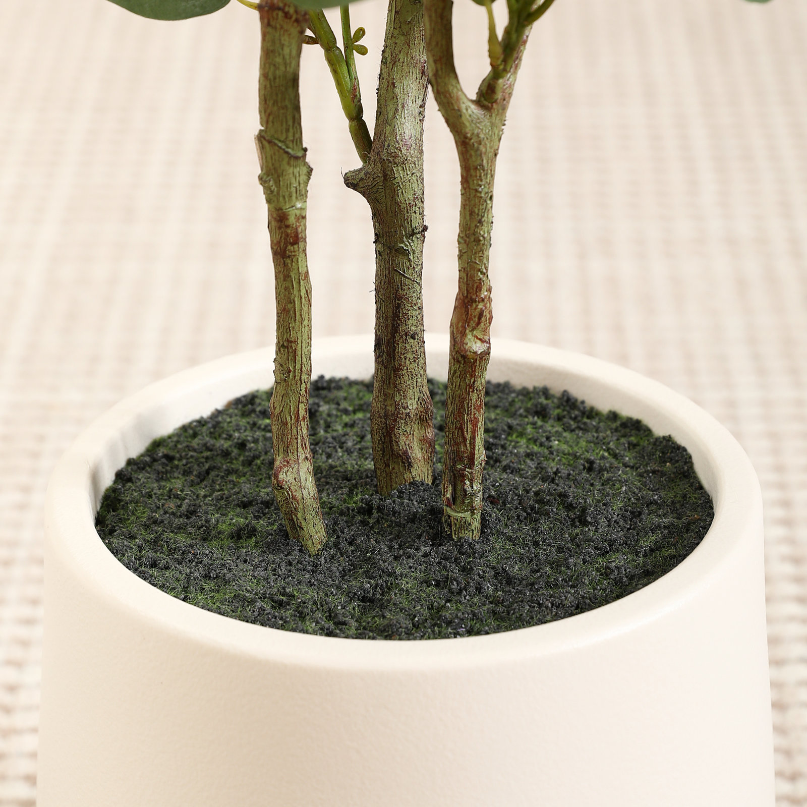 Adalia Eucalyptus Tree in Pot, 72" H x 24" W x 24" D