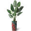 Arbre artificiel dans un pot de fleurs, arbre en soie Fake Bird-1276611137-1306554124
