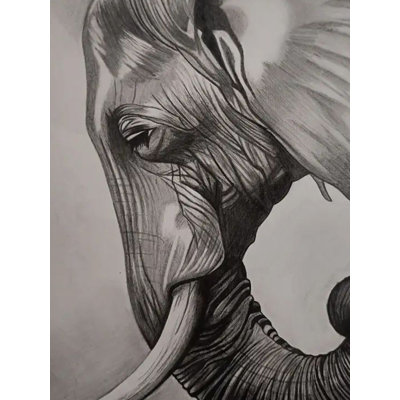 Éléphant fort avec des yeux paisibles, dessin au fusain sur papier - Art animalier indien de 11,7 po x 8,7 po par Krutik Jangir