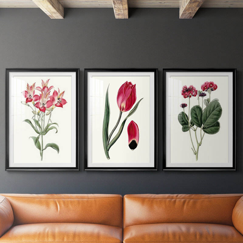 Roseat Blooms I - impression encadrée sur mesure de qualité supérieure mate - 3 pièces, H 27 po x l 39 po, Noir