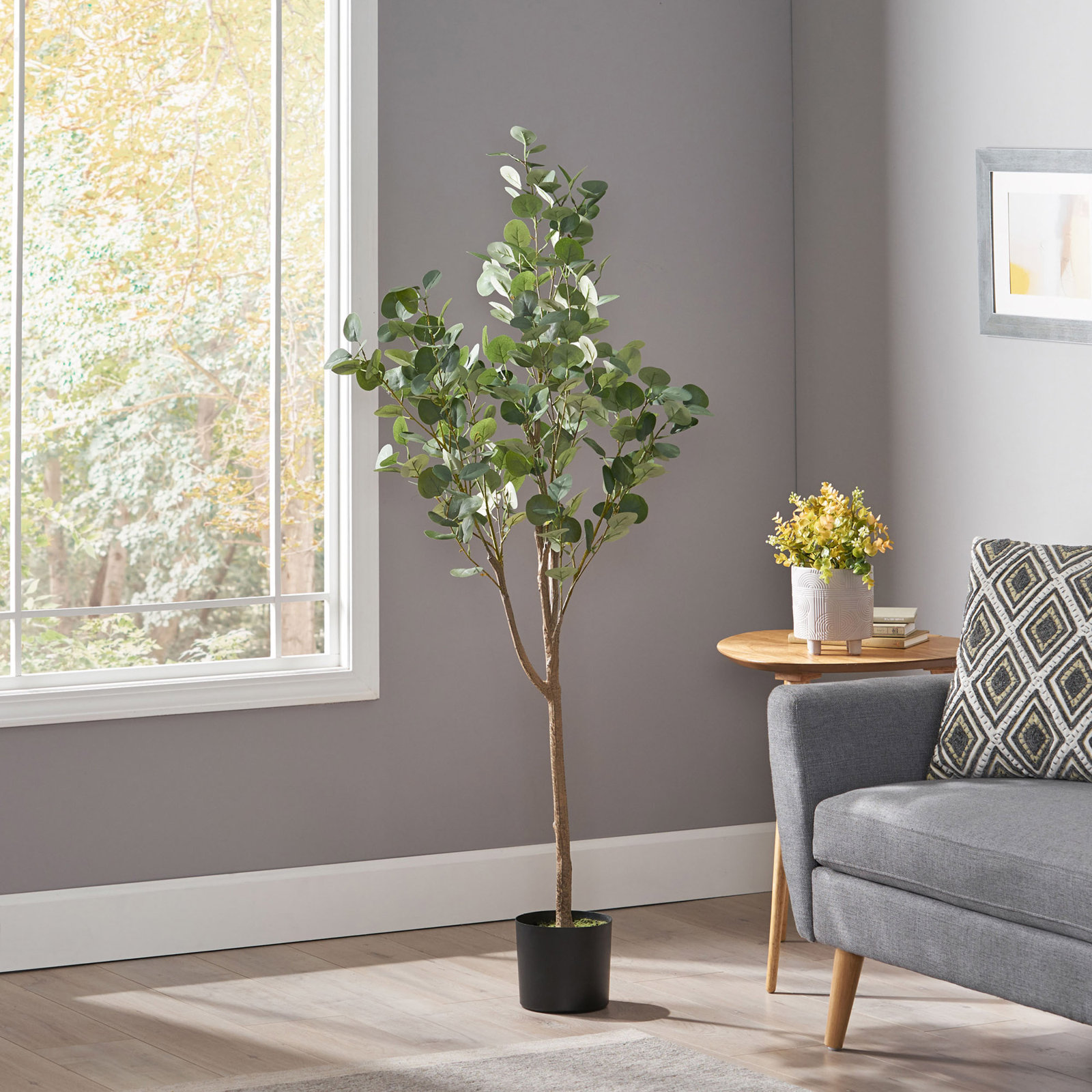 Aanya 71" Eucalyptus Tree in Pot, 59" H x 23" W x 23" D