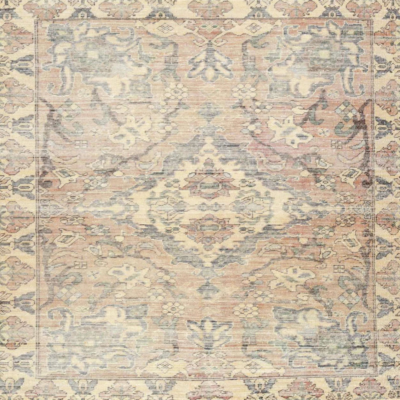 Sareeta Oriental Indoor Rug, Square 3'