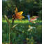 Piquet de jardin en métal Hummingbird Flower-1690802841