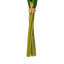 Vickerman 16"H Plum Tulip Bundle of 5.-1404122193