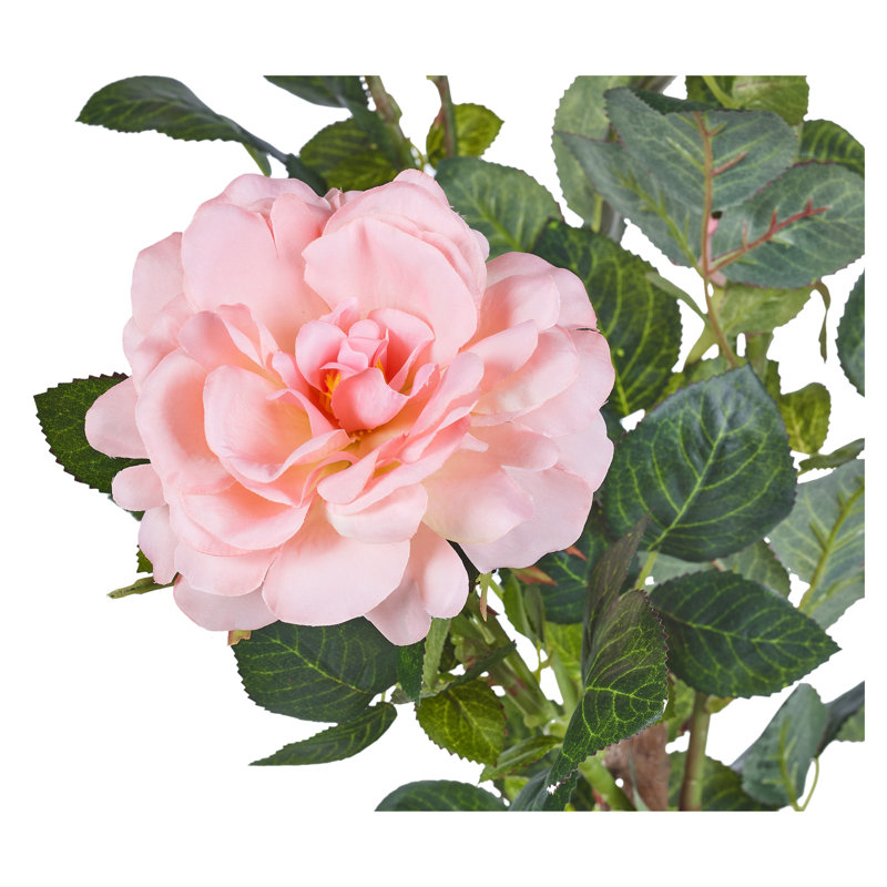 Arrangement