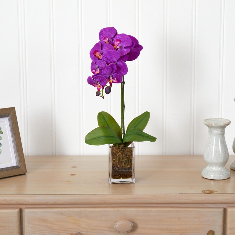 Arrangement floral orchidée dans un vase, Mauve