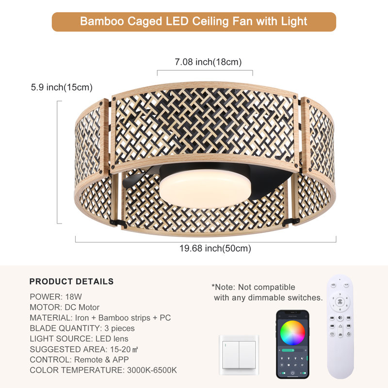 Ceiling Fan with LED Lights