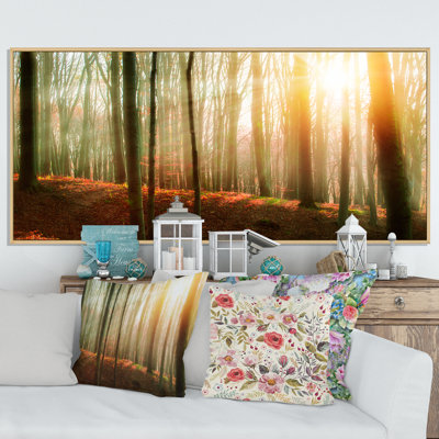 Forêt avec lumière du soleil - Photographie sur toile