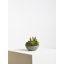 29cm Faux Succulent Plant in Stone Planter