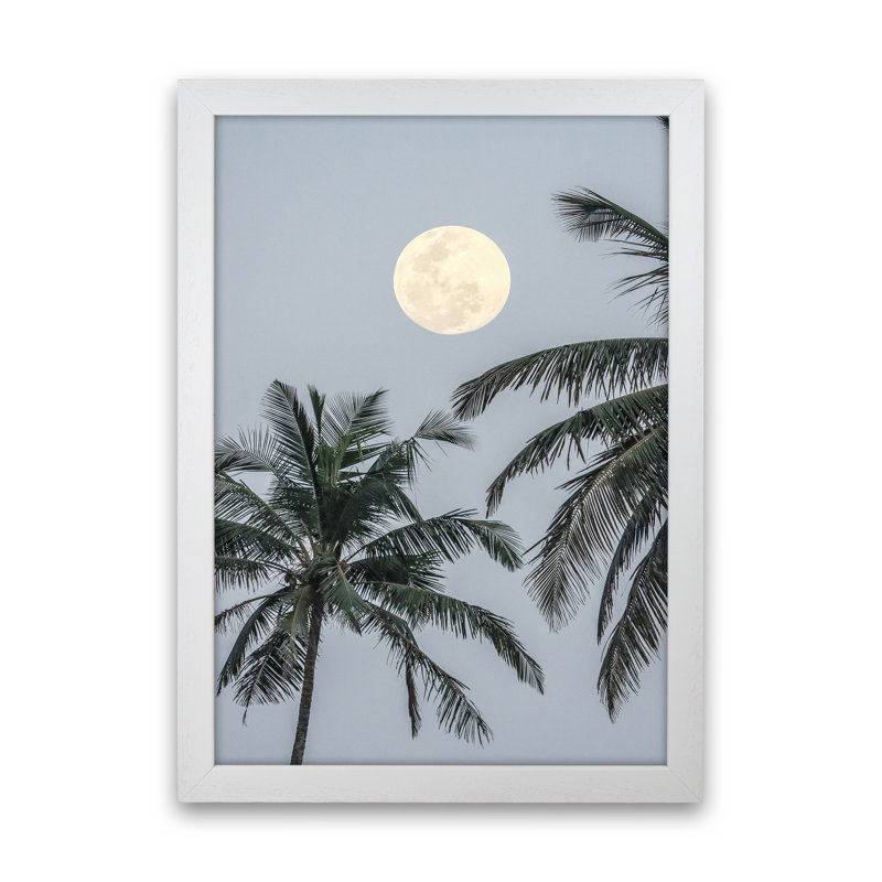 Full Moon by Victoria Frost - Print, White Framed, 88cm H x 64cm W x 3cm D