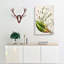 Senecio Hectori Flowers by Sarah Featon - Wrapped Canvas Painting-55318173