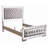 Bed Frame(Only Bed)-551015884-551015883