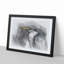 Pied Heron - Picture Frame Graphic Art Print-55732080-55732079