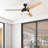 Statham 52" Ceiling Fan with LED Light-1611068896