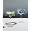 Rio Champagne Coupes-110489600