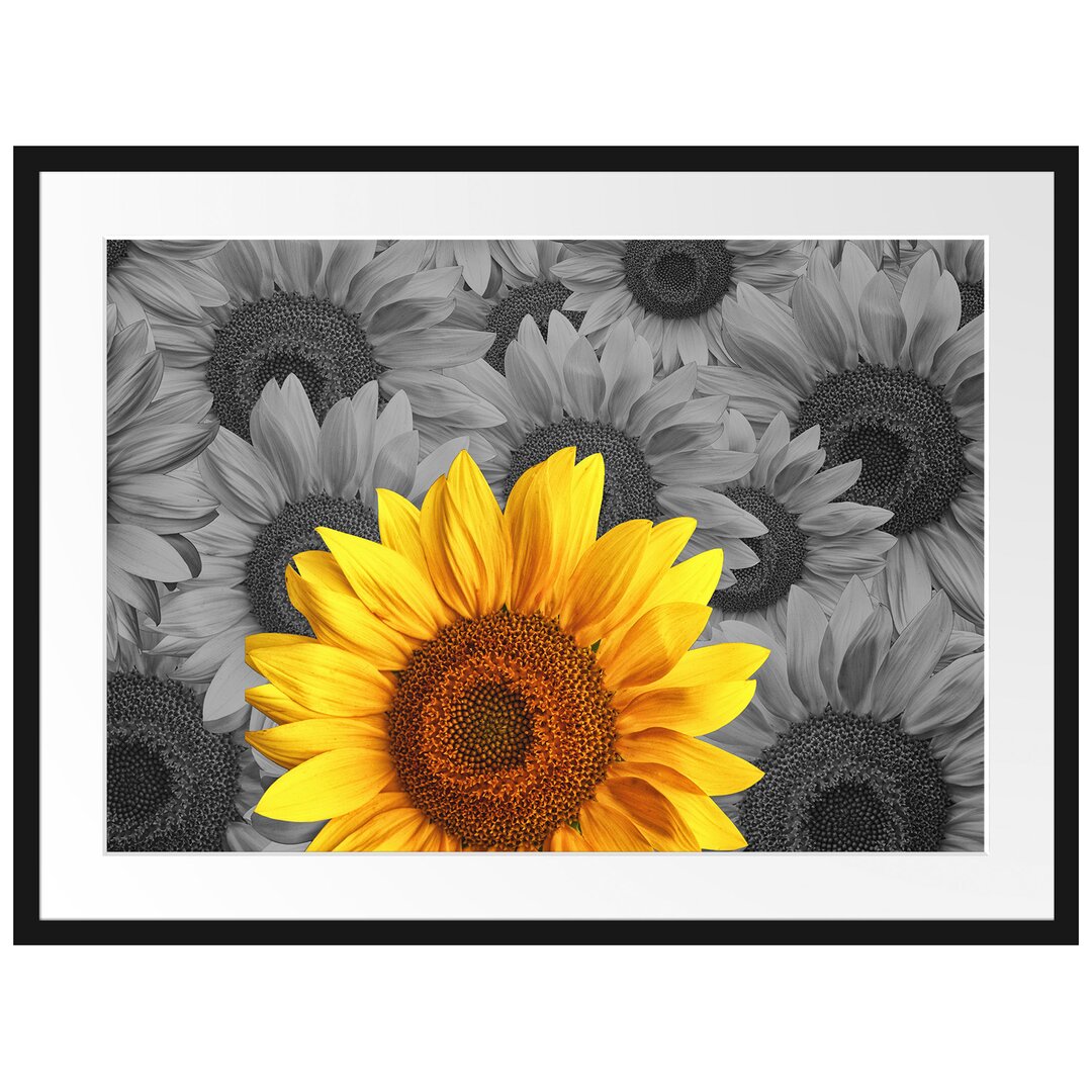 Gerahmtes Poster Schöne Sonnenblumen