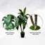 Arbre de berceau tropical fait à la main avec bois véritable-1342588034