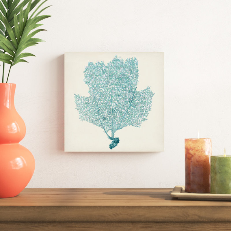 «Sea Fan III» par Vision Studio, reproduction d'art sur toile, H 12 po x l 12 po, Toile tendue