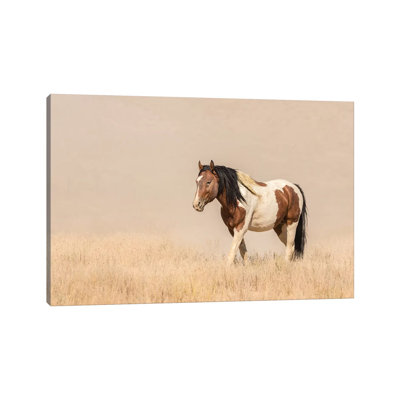 USA, Utah, Tooele County. Wild horse close-up. 1 Piece Wrapped Canvas Wall Art