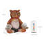 Statue de jardin Exhart Solar Meditating Yoga Owl