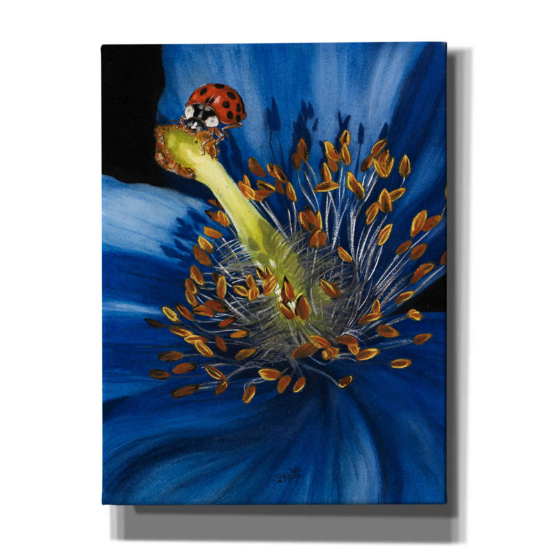«Shortwood Lazulines sur toile» par Barbara Keith, H 16 po x l 12 po x P 0,75 po