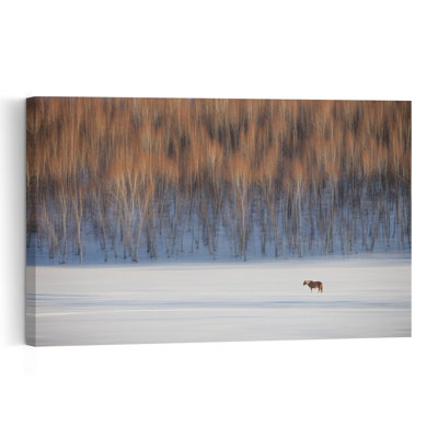 «Lone Horse Winter Landscape Minimalist Peaceful Serene Birch Horse Forest Landscape», reproduction d'art mural