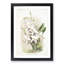 Magnolia Flowers Illustration Tab 56 by Frederick Sander - Picture Frame Painting Print-55759425-55759426