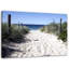 Beach Dune Landscape - No Frame Print on Canvas-98483782