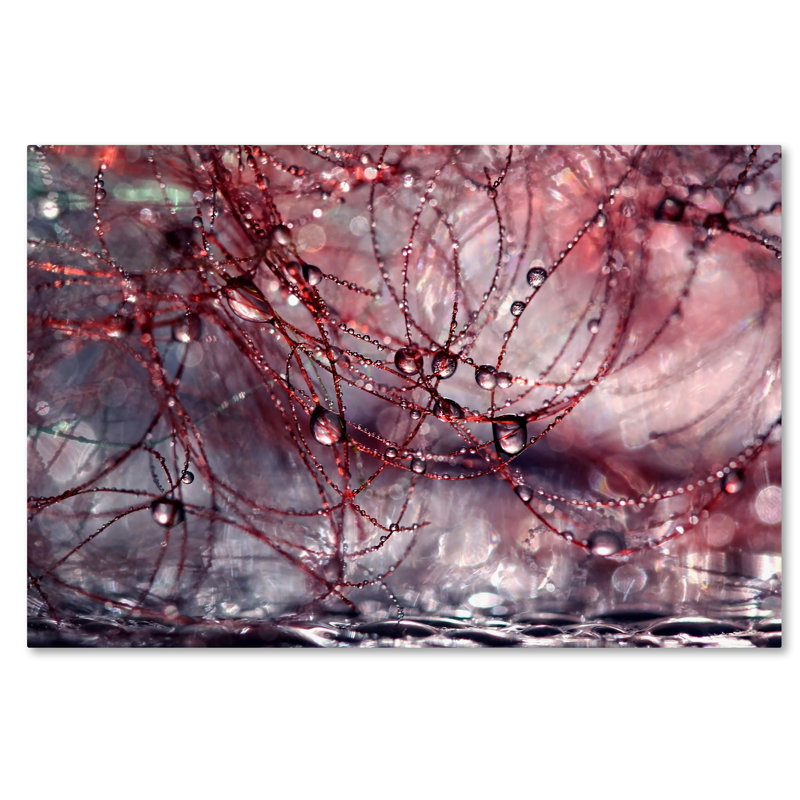 Modern & Contemporary, 16" H x 24" W x 2" D