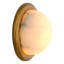 Vigo 1 - Light Flush Mounted Sconce