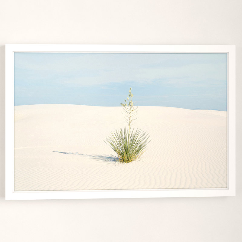 «Desert Life» par Marmont Hill - reproduction de photo sur papier encadrée, H 12 po x l 18 po