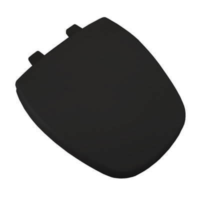 Toilet Seat and Lid