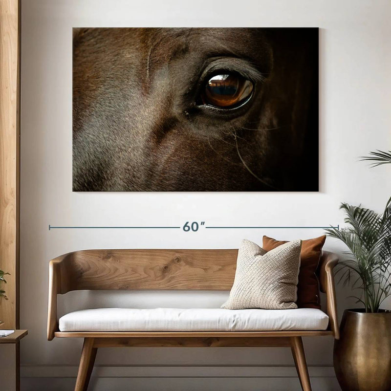 Brampt œil de cheval noir