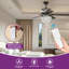 Pinesdale 52'' Ceiling Fan with Light Kit