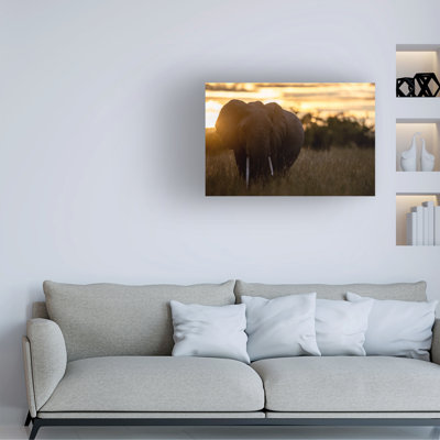 Art sur toile «Bologern Bologern», éléphant