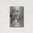 " Shih Tzu " by Barbara Keith-1044993076