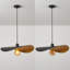1 - Light Matte Black Novelty Pendant