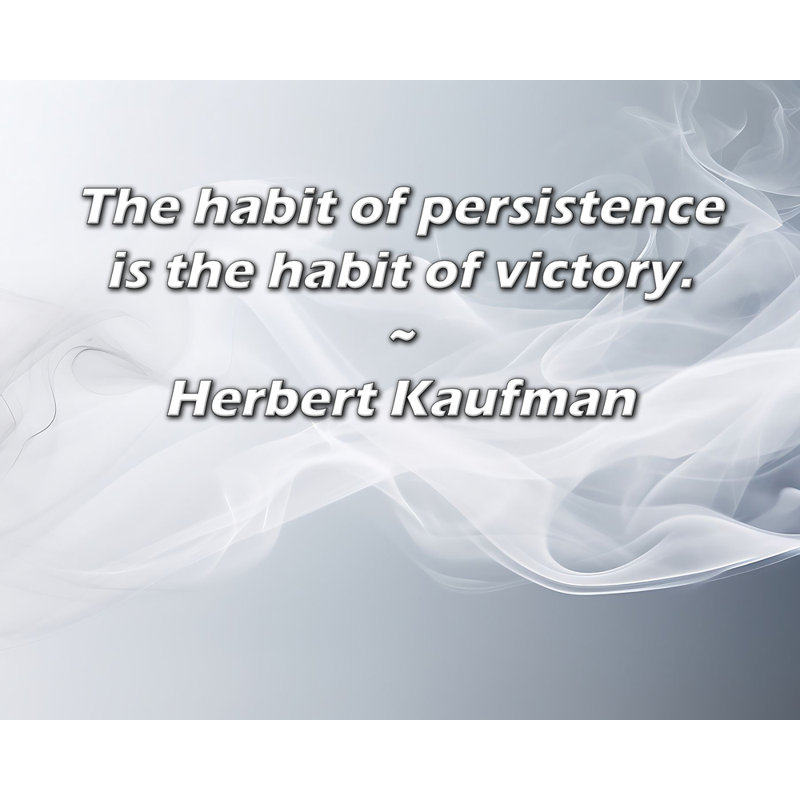 Trinx Gallery Wrapped Canvas By Herbert Kaufman: "The habit of persistence is the habit of vi, 17" H x 24" W
