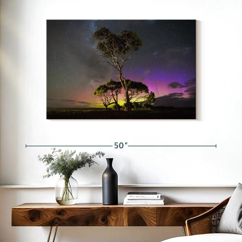 Harnek aurora australis au-dessus des arbres, H 26 po x l 39 po