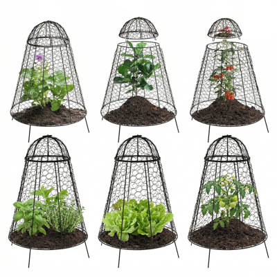 Protecteur de plantes cloche en fer avec couvercle amovible - paquet de 6