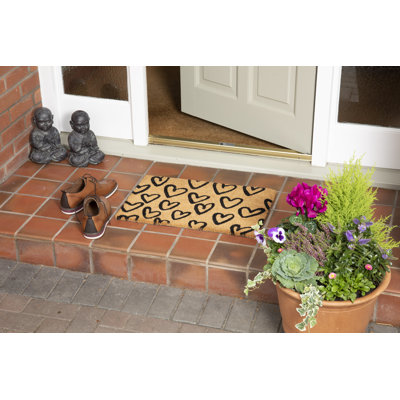 Shonda Non-Slip No Pattern Doormat