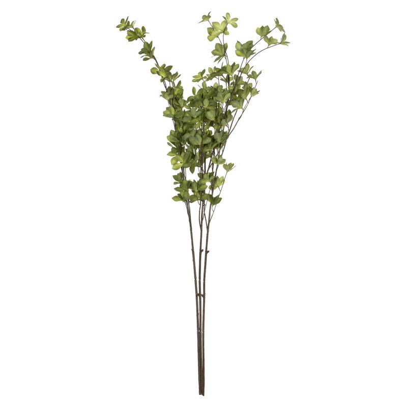 Castor Arrangement
