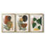 Contemporary Palm I - Impression personnalisée de qualité supérieure avec passe-partout - 3 pièces-690660305-690660307