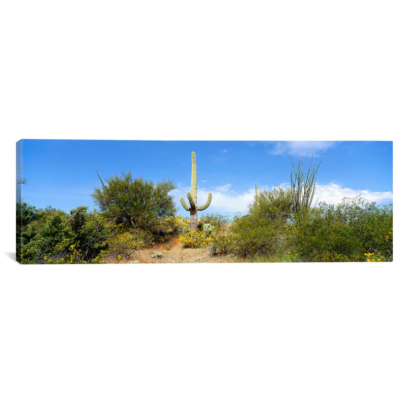 Panoramic Tucson, Arizona, reproduction de photo sur toile, H 20 po x l 60 po x P 1,5 po, Toile tendue