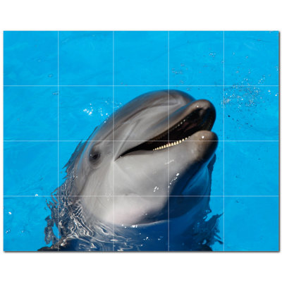 Dolphin Photo 4.25'' x 4.25'' Satin Ceramic Decorative Mural